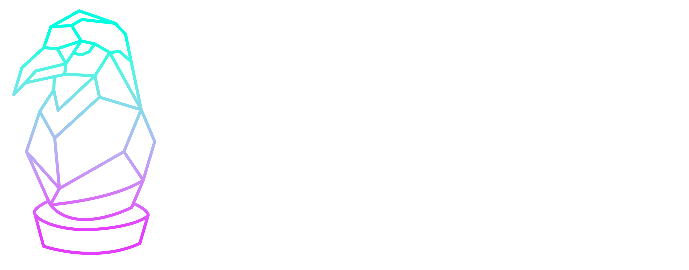Malphara logo – stylized crow standing looking to the left